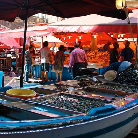 Downtown Living * Katania